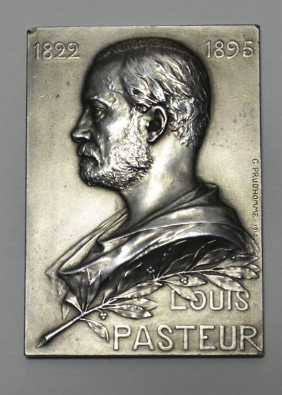 Société médicale vétérinaire, plaque par...