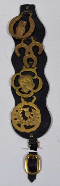 Horse bridle decorations including owls,...