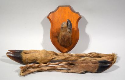 Lot including two feet of honor and a foot...