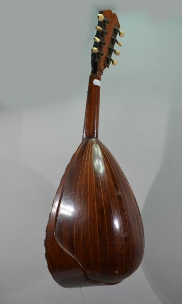 CINCIRINELLA in Naples

Neapolitan mandolin...