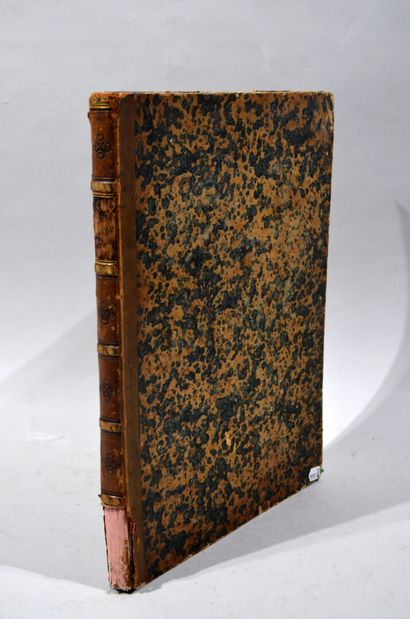 COLLECTION containing lithographic drawings...