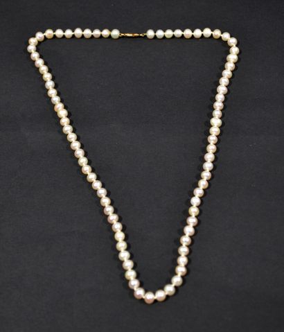 COLLIER de perles dites acoya à fermoir en...