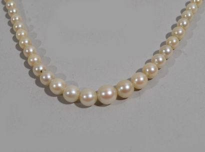 COLLIER DE PERLES de culture fantaisie avec...