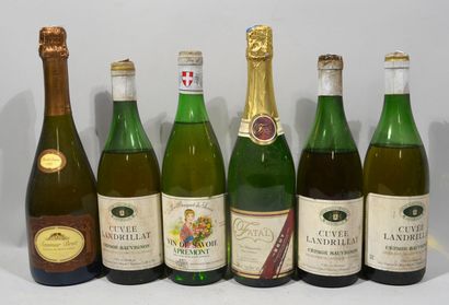 Lot de 6 bouteilles de vins divers dont mousseux,...