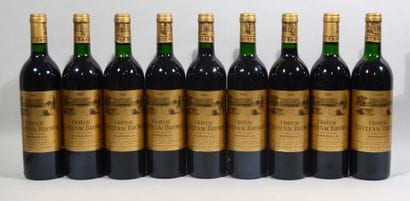 9 bouteilles de CHATEAU CANTENAC BROWN Margaux...