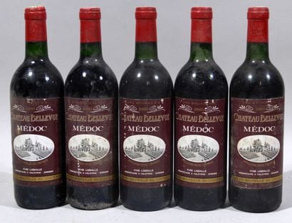 5 bouteilles de CHATEAU BELLEVUE Médoc Yves...