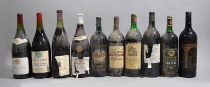Lot de 10 magnums dont: Savigny les Beaunes...
