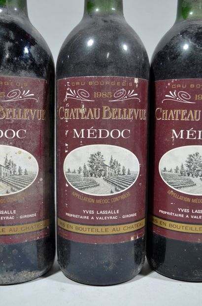 5 bouteilles de CHATEAU BELLEVUE Médoc Yves...