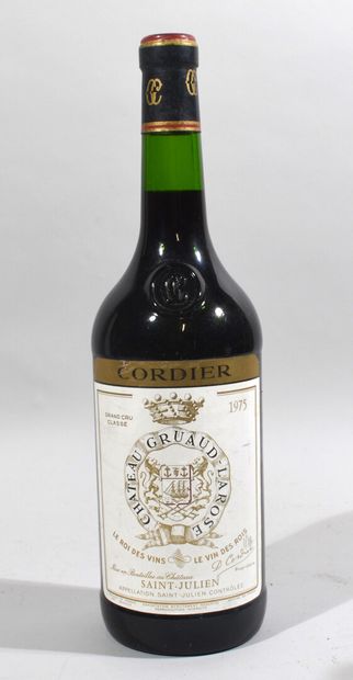 1 Magnum de CHATEAU GRUAUD-LAROSE Saint Julien...