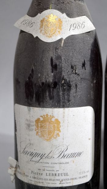 Lot de 10 magnums dont: Savigny les Beaunes...