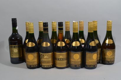 13 bouteilles FINE NAPOLEON.