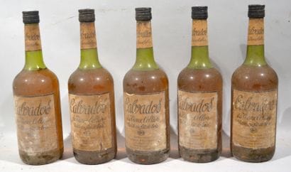 5 bouteilles de CALVADOS du Vieux Cellie...