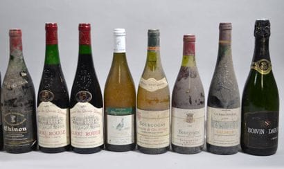 Lot de 15 bouteilles dont: Bordeaux, Chinon,...