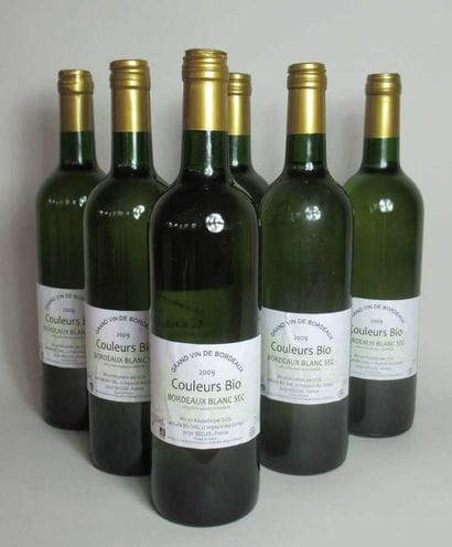 6 bouteilles de BORDEAUX Couleurs Bio BLANC...
