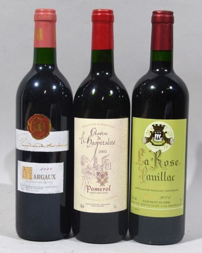 Une bouteille de LA ROSE PAUILLAC 2004

Une...