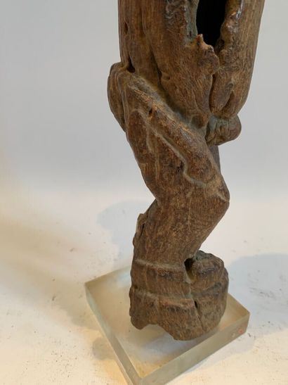AFRIQUE.

FIGURE FEMININE en bois clair sculpté...