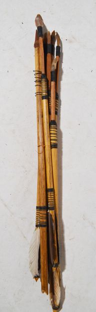 AFRIQUE

Lot de petites lances et flèches...