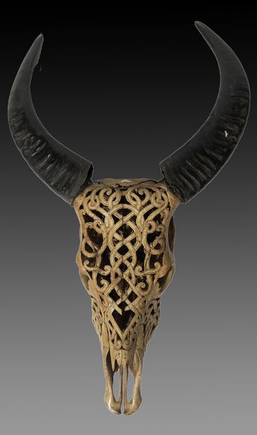 BORNEO

Crâne de buffle sculpté ajouré avec...