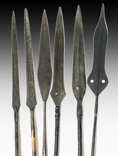 CONGO et TCHAD

Réunion de six lances et...