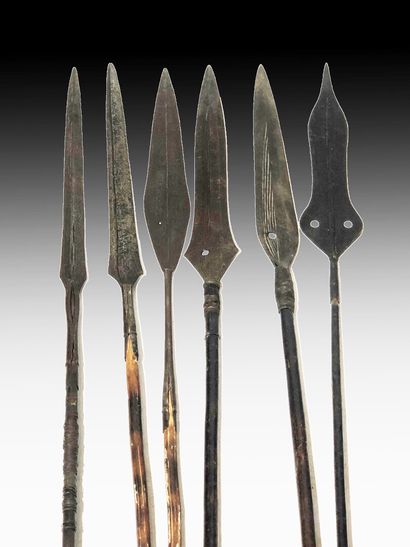 CONGO et TCHAD

Réunion de six lances et...