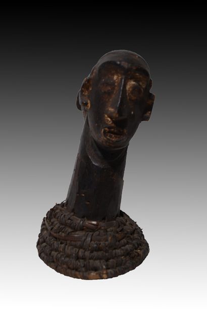 EJAGHAM, Nigéria/Cameroun.

Masque-cimier...