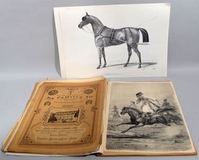 Ensemble d'illustrations et de planches sur...