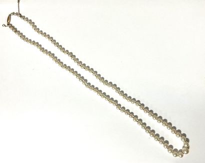 COLLIER de perles dites Acoya disposée en...