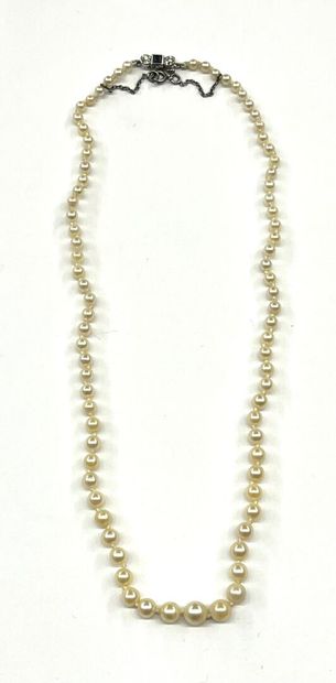 COLLIER DE PERLES de culture à chaine de...