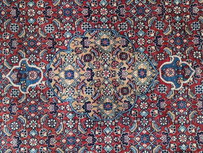 TABRIZ (Iran)
Tapis en laine nouée à la main...