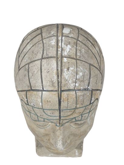 Buste de phrénologie en plâtre patiné, comportant...