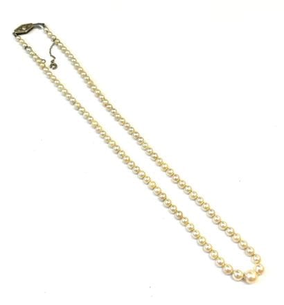 COLLIER de perles de culture disposées en...
