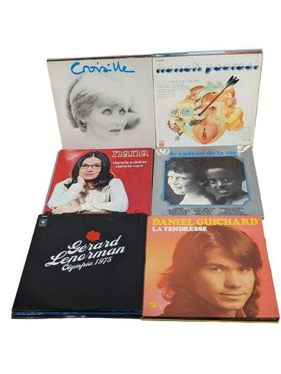Importants lot de vinyles de chanteurs français...