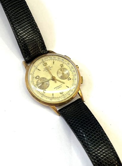 ZELUS
Montre chronographe d'homme à boitier...