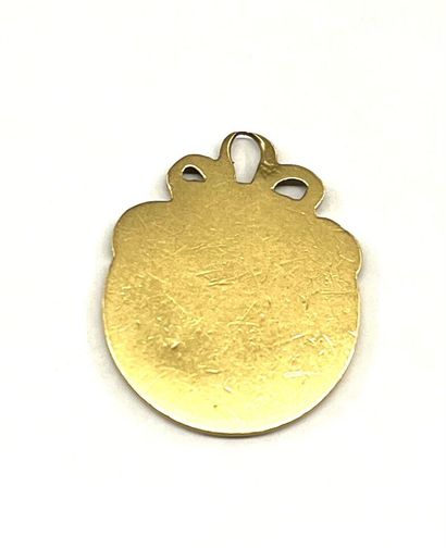 Médaille de baptême en or jaune 18 K (750/oo)...