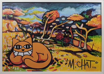 Thomas VUILLE dit Monsieur CHAT (né en 1977)
