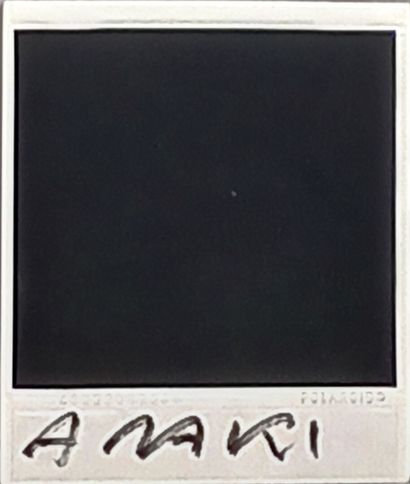 Nobuyoshi ARAKI (né en 1940)

