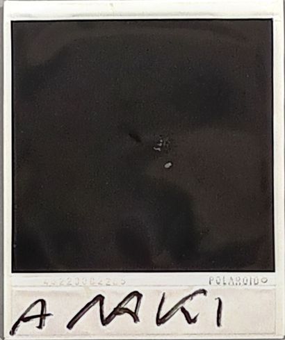 Nobuyoshi ARAKI (né en 1940)
