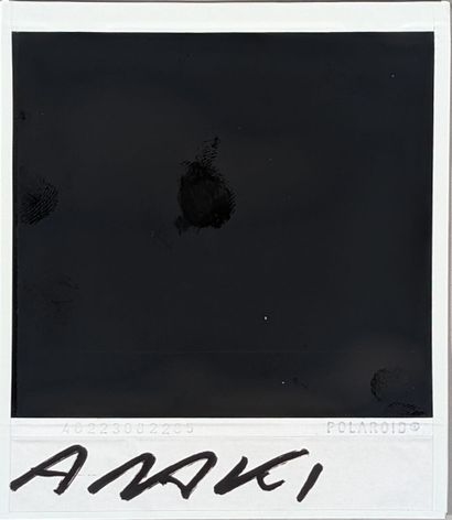 Nobuyoshi ARAKI (né en 1940)
