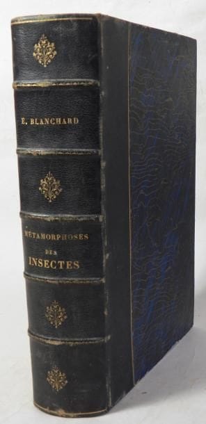 Emile BLANCHARD
Métamorphoses, Moeurs et...