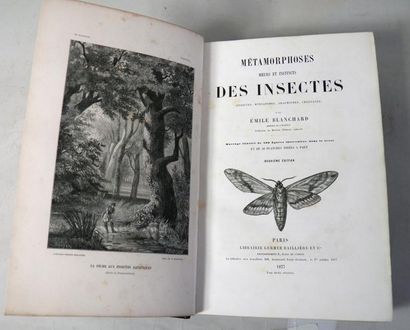 Emile BLANCHARD
Métamorphoses, Moeurs et...