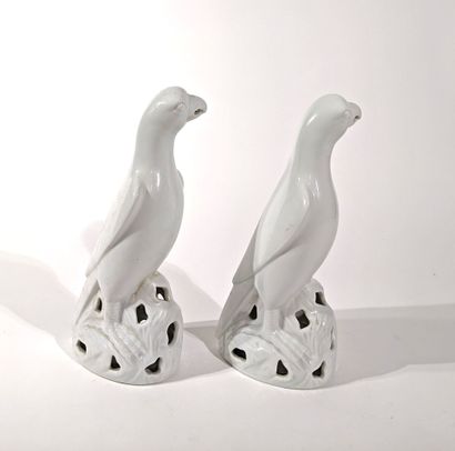 PAIRE DE PERROQUETS en porcelaine.
XXe siècle
Hauteur...
