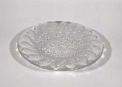 LALIQUE France modèle Roscoff
Coupe en verre...