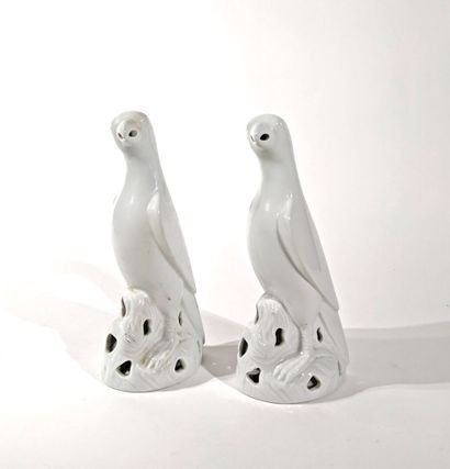 PAIRE DE PERROQUETS en porcelaine.
XXe siècle
Hauteur...