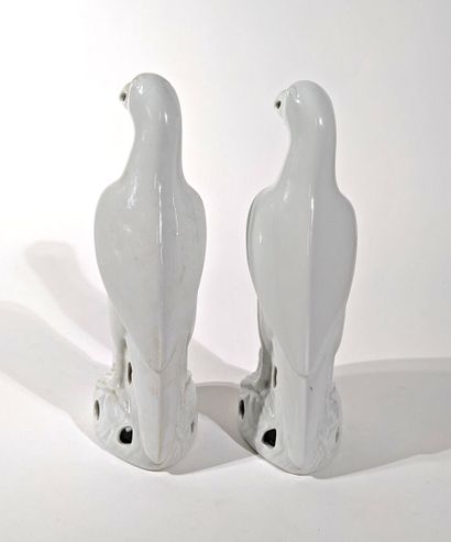 PAIRE DE PERROQUETS en porcelaine.
XXe siècle
Hauteur...
