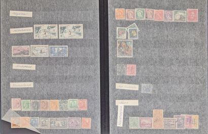 Collection de timbres comprenant 13 albums...