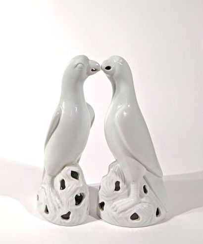 PAIRE DE PERROQUETS en porcelaine.
XXe siècle
Hauteur...