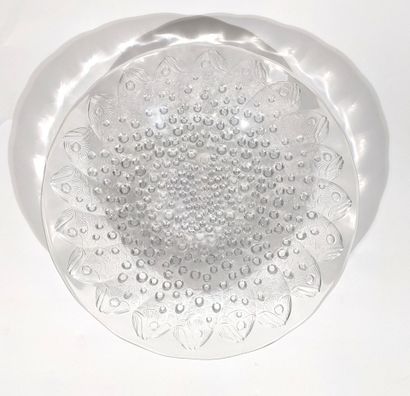 LALIQUE France modèle Roscoff
Coupe en verre...