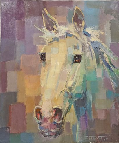 Georges TRINCOT (1921-2005)
