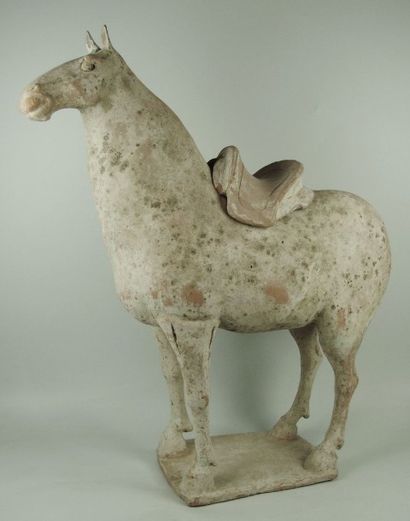 Cheval debout sur une base portant une selle...