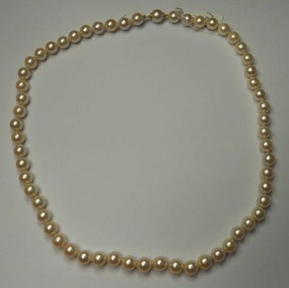 Collier de perles de culture en choker, fermoir...